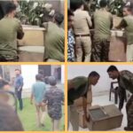रुड़की में अवैध वेनम सेंटर पर पीएफए टीम का छापा 70 कोबरा समेत 86 जहरीले सांप बरामद