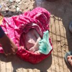 पुरानी गंगनहर किनारे नवजात भ्रूण मिलने से मचा हड़कंप